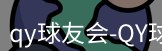 qy球友会